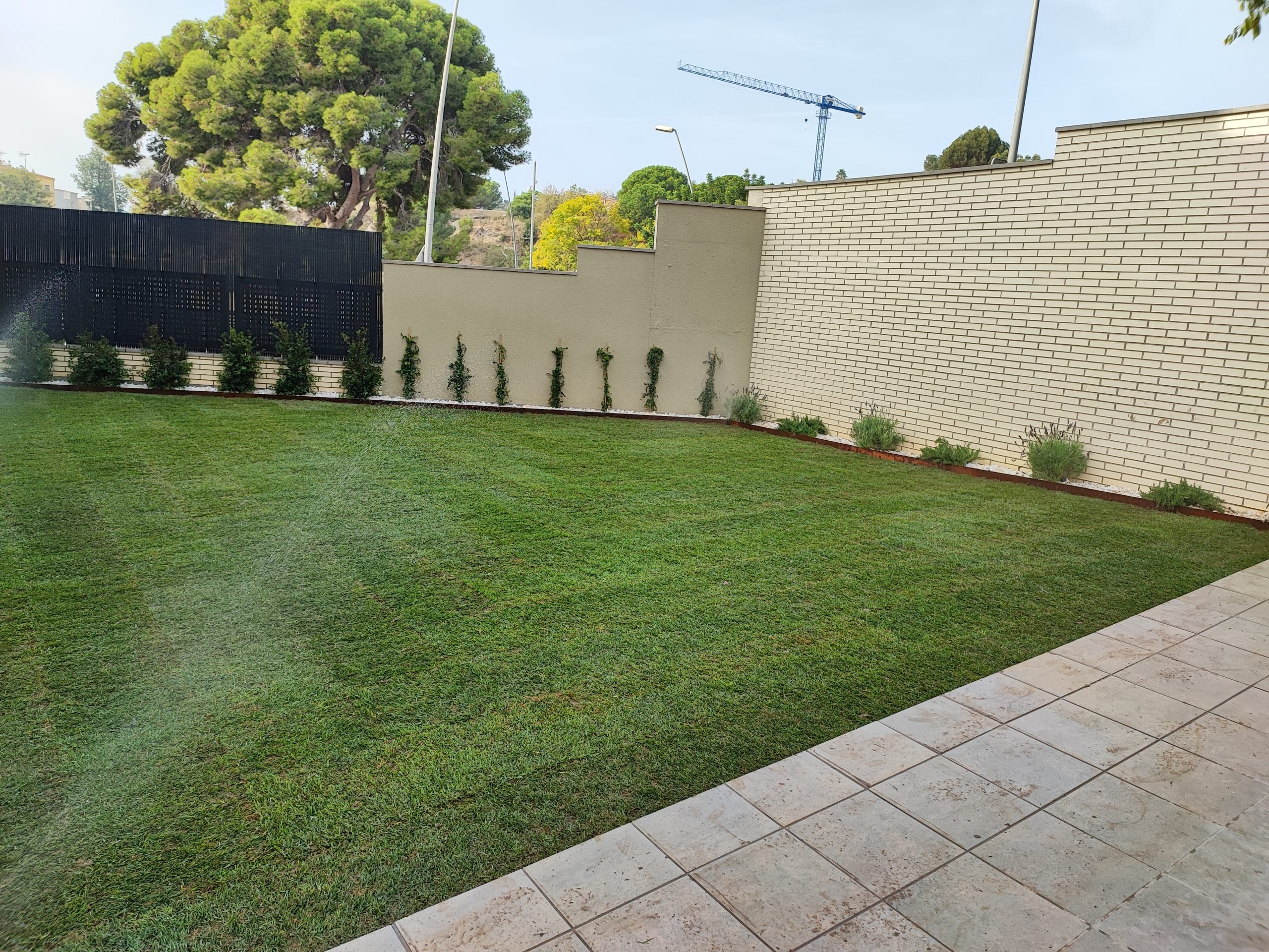 Césped natural en tepes