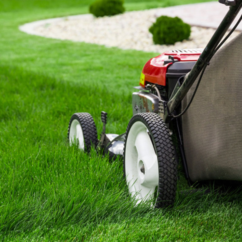 Mantenimientos jardines y comunidades